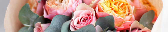 купить цветы Бельгия от Grand-flora